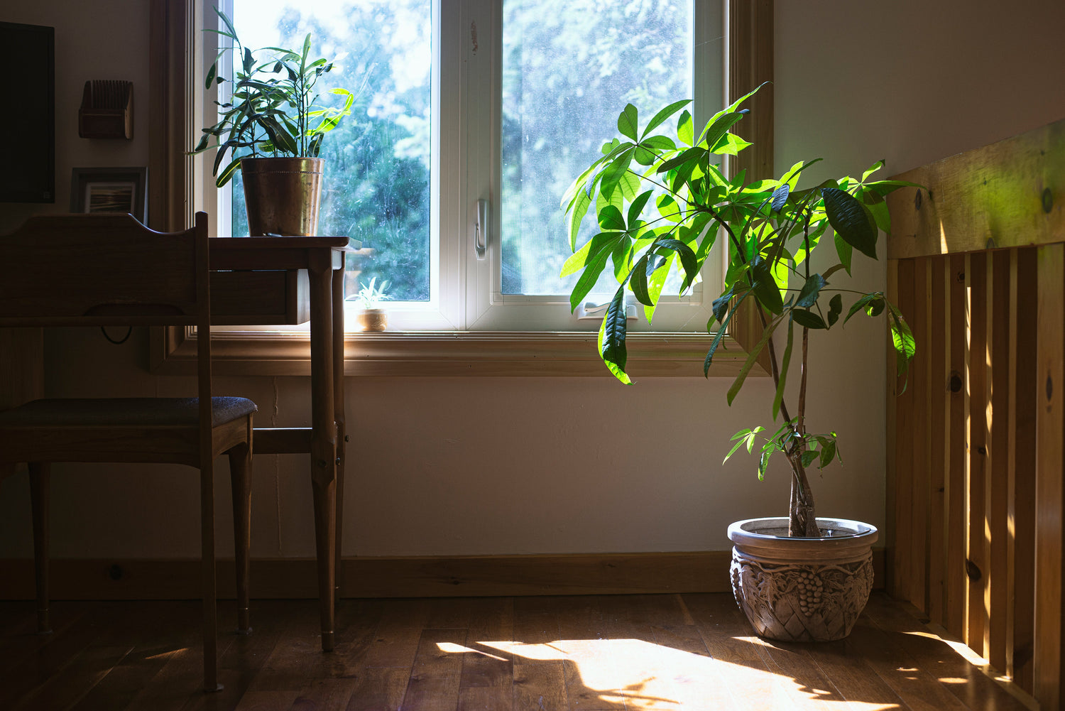 SUNROOM