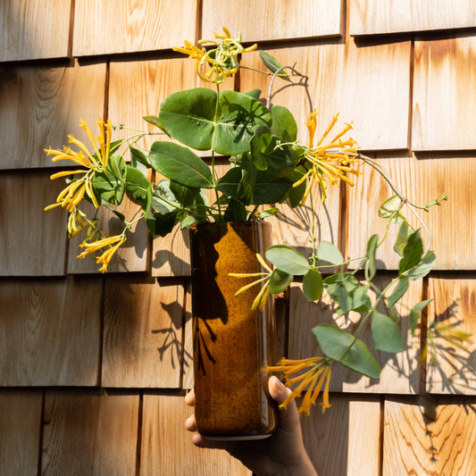 Tall Vase in Tenmoku