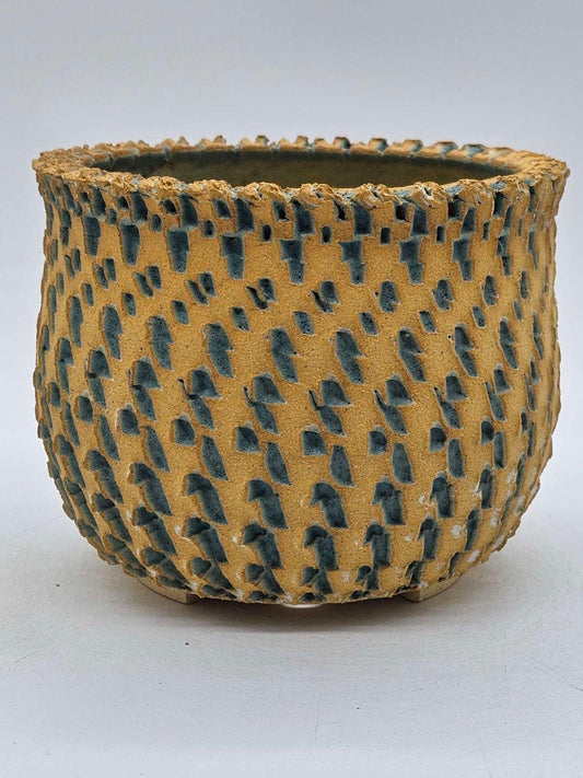 Peety Pots by Pablo