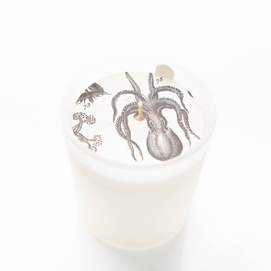 Sea Salt & Lavender - Frosted Jar Candle