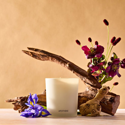 Black Iris Oak Classic Candle