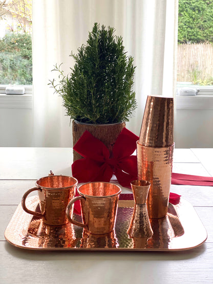 Copper Cocktail Set